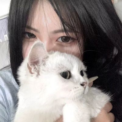 九游版口袋萌兽下载